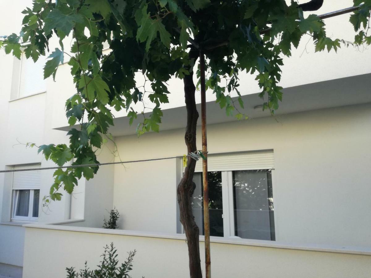 Apartment Drosanjica Zadar Exterior photo